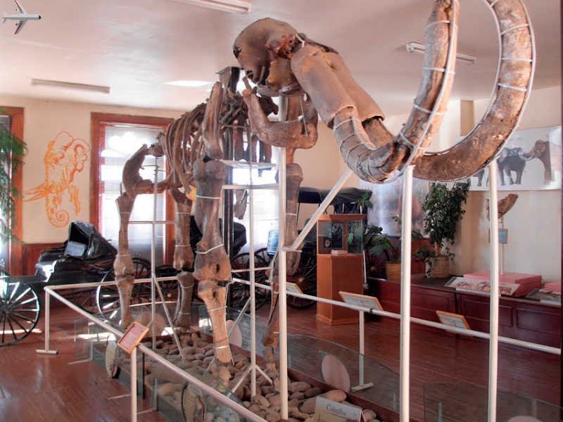 donde se encuentra el museo del mamut