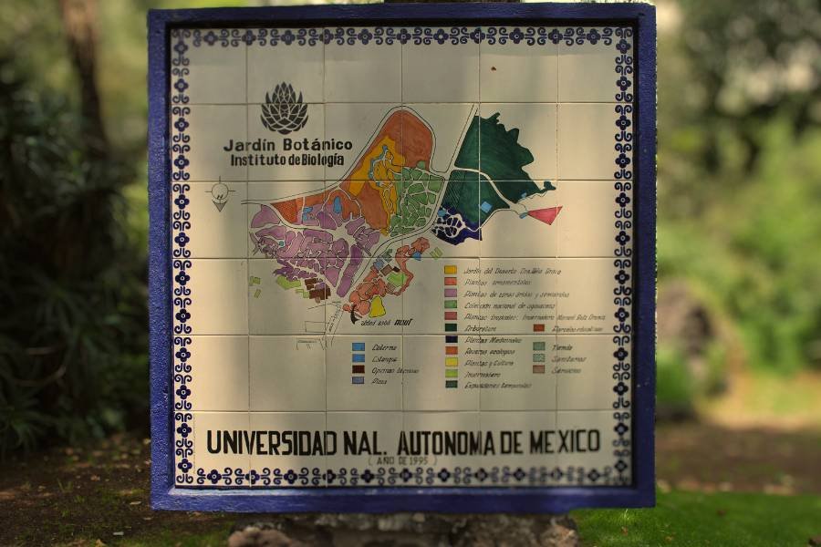 Jardin Botanico UNAM