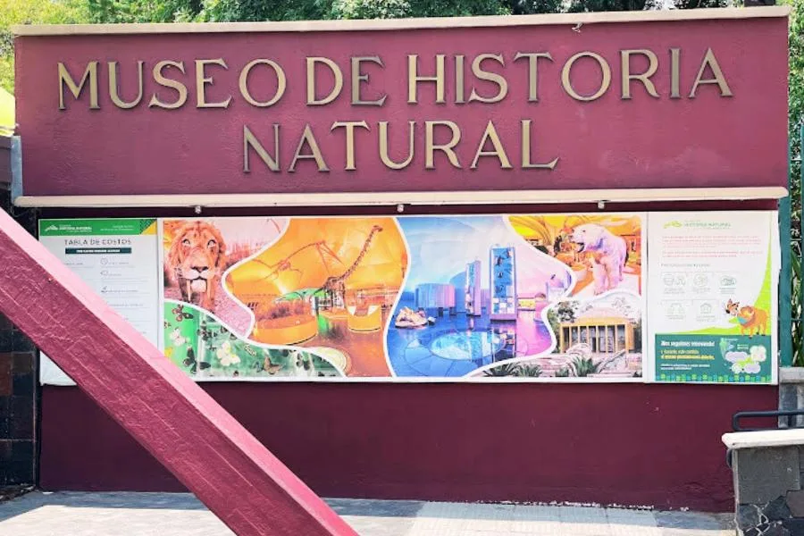 Museo de Historia Natural