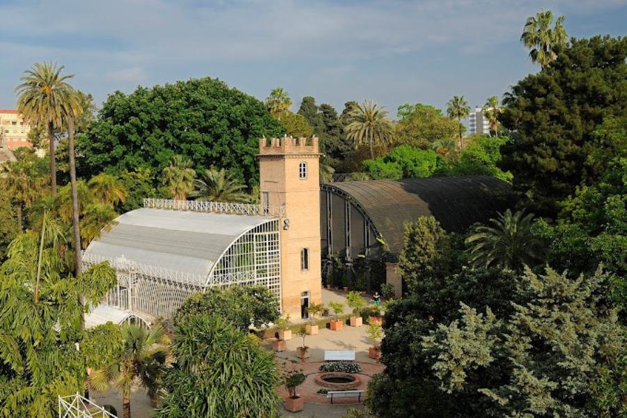 Jardin Botanico de la Universidad de Valencia Barrio del Carmen Valencia