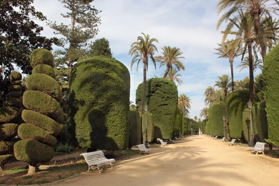 Que ver en Cádiz y alrededores en 3 días 6 Parque Genoves Cadiz Cadiz espana