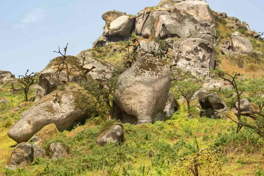 Encanto cultural y natural: qué hacer en Cañete Perú en tu próxima visita 6 Lomas de Lachay que hacer en cañete peru