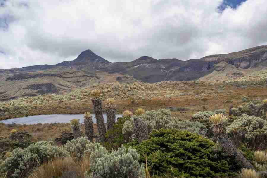 parque nacional natural los nevados que hacer en Armenia Colombia