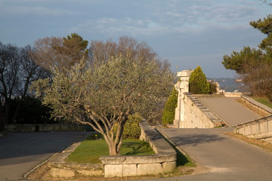 Jardines des Doms Avignon Francia