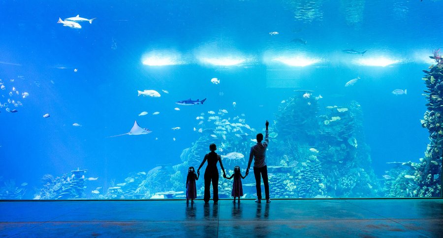 acuario de mazatlan